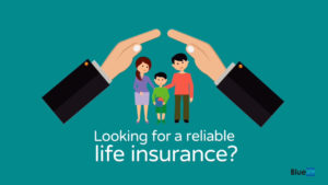 Life insurance marketing after effects review