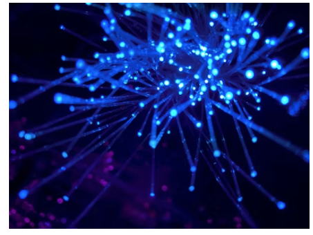 AI Video Tools for Business